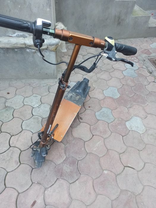 Elektro samokat.