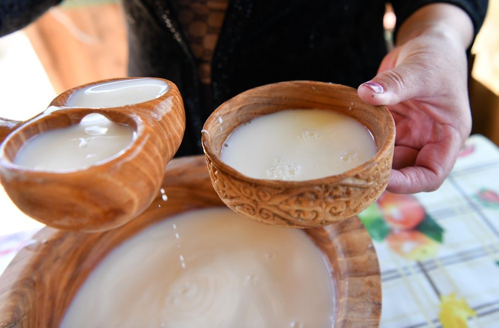 Кымыз. Шубат, курт