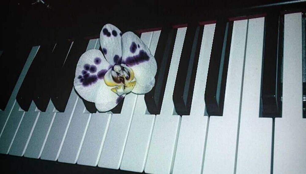 Cursuri de pian acasă - Copii și adulți