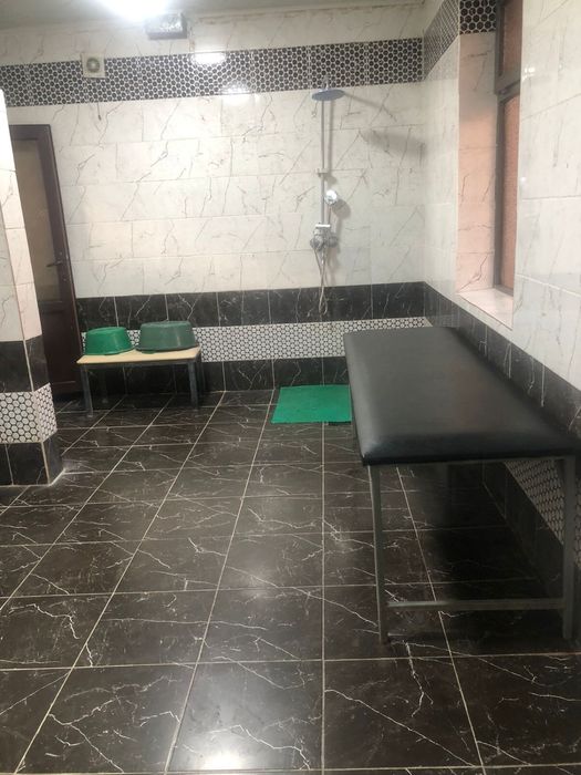 Массаж и пилинг на вызыв и у себя