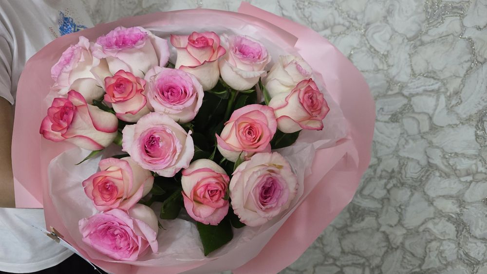 Розы голландские свежие