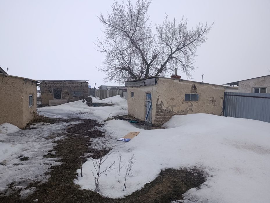 Уй сатылады Чижа 2 Продам