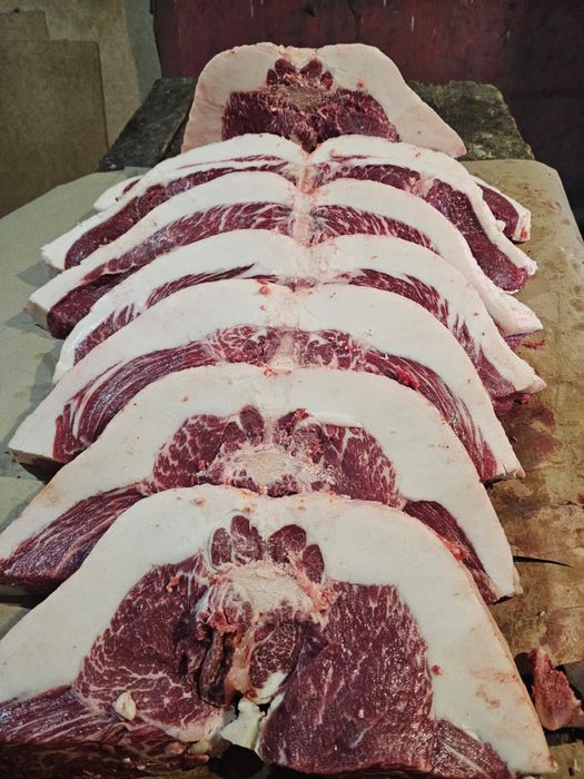 Продам согым сирактап