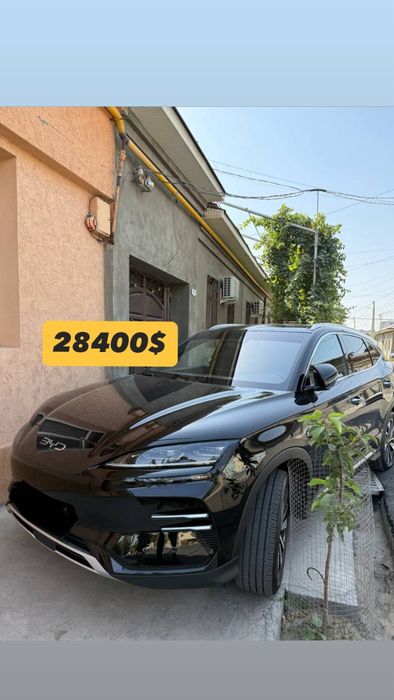 Byd chempion restaylig