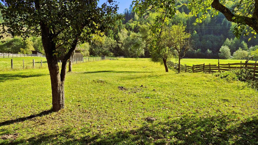 Casa cu teren 3000m2 intravilan