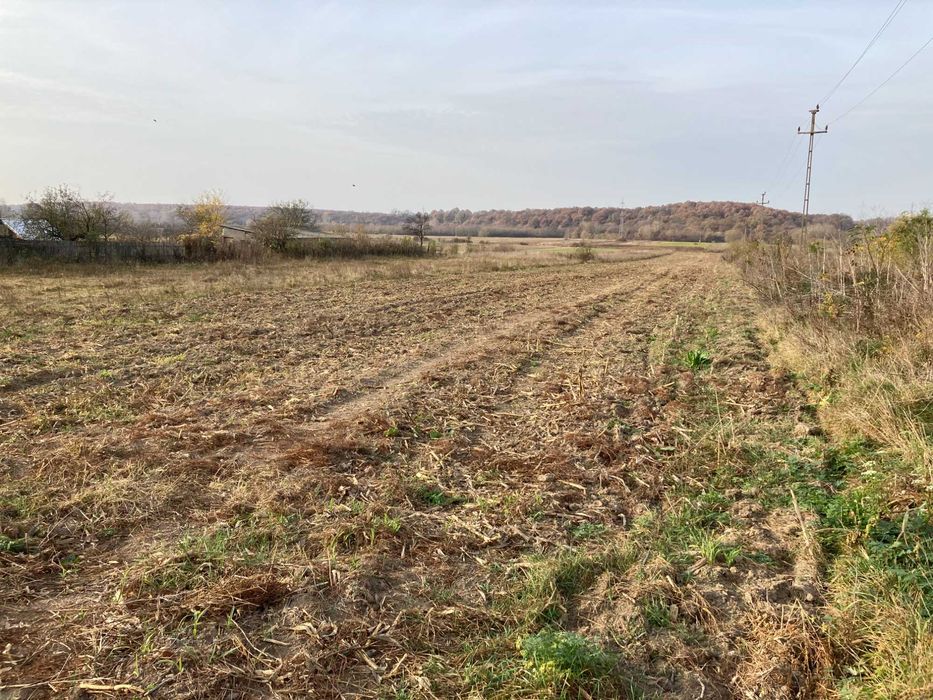 Teren Telesti, Costesti, Jud Arges, intravilan