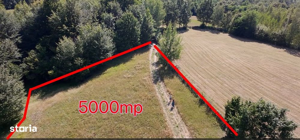 Teren 5000 mp extravilan, pretabil cabana weekend