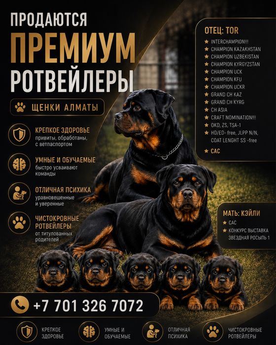 ЩЕНКИ РОТВЕЙЛЕРА премиум-класса