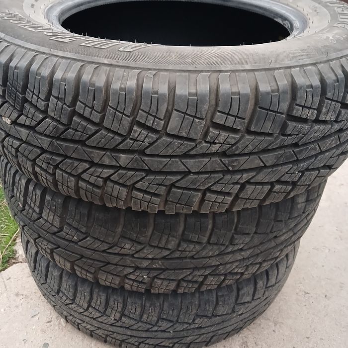 Резина летняя Кордиант