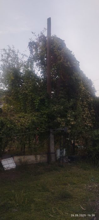 Продам  столб. .