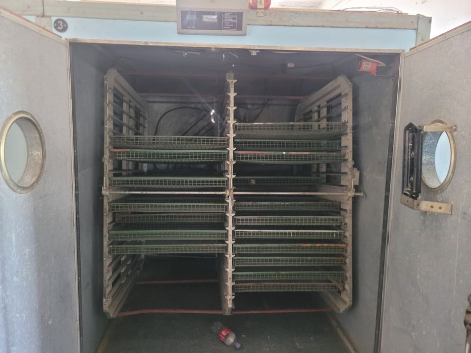Продается инкубатор вко, с ельтай