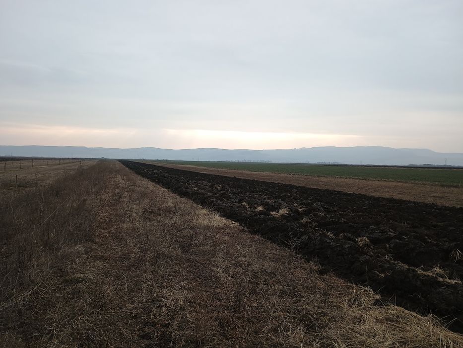 Vând Teren Extravilan