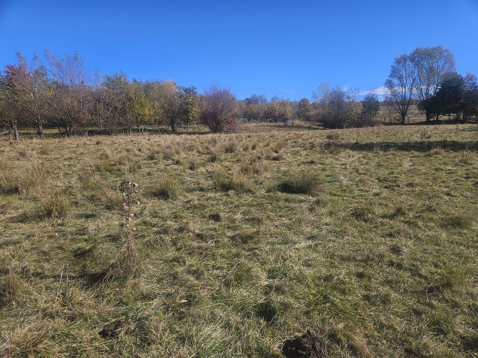 Teren in suprafata de 7685 mo
