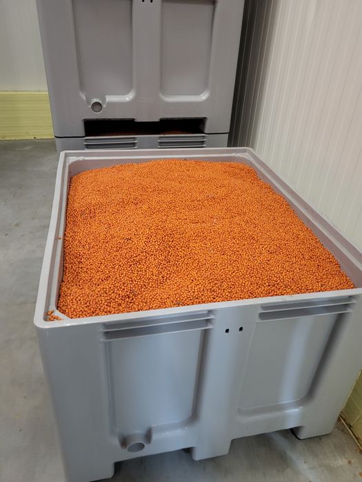 Vand Livada Cătina Arad