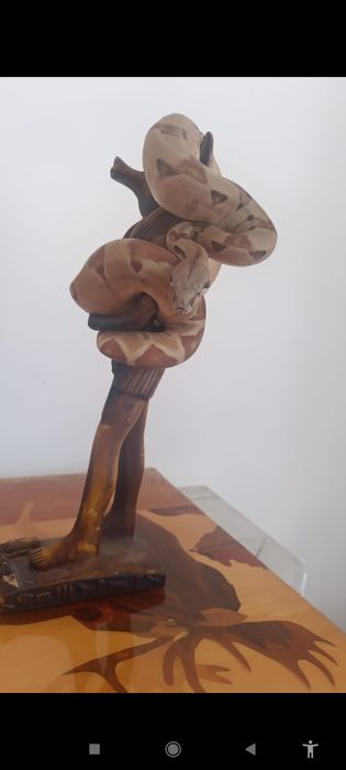 Императорский удав самка