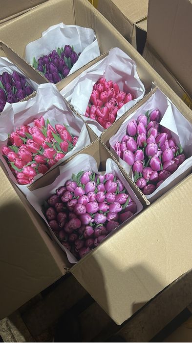 Тюльпаны в розницу