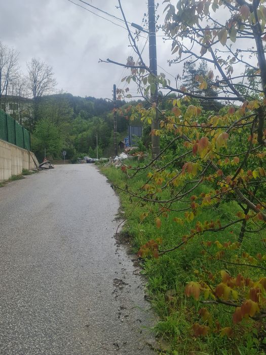 Продава се Парцел в с. Търън, Област Смолян - 4500 кв.м за 29 €/кв.м - Снимка #9