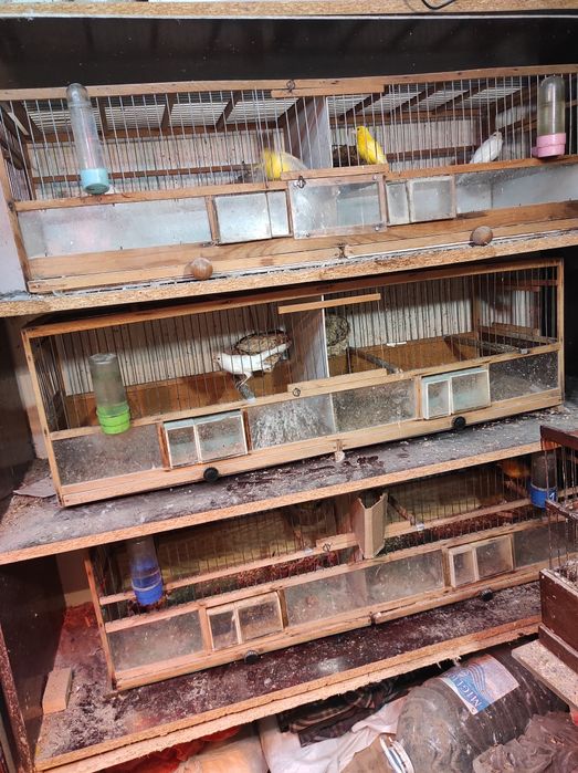 Прода шкаф для развидение