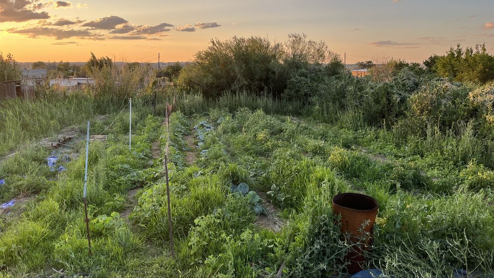 Продам дачу срочно