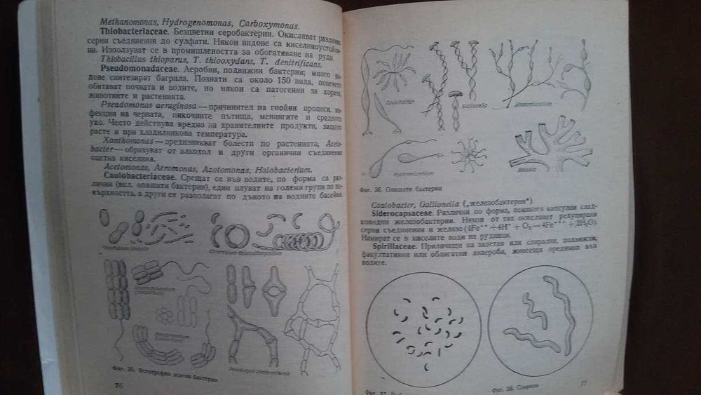 Книги за биология медицина: „Милиарди микроби“ – Курт Е.Линднер