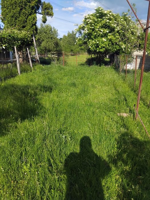 Vand casa si teren