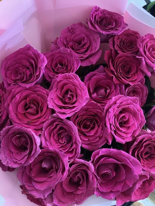 Цветы 25штук свежий роза