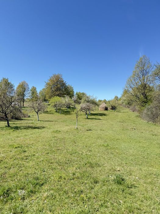 Teren intabulat de vanzare – satul Breb, Maramures