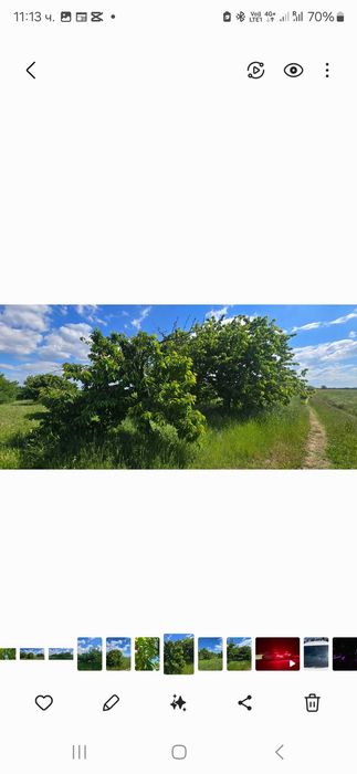 Продава се Черешова Градина
