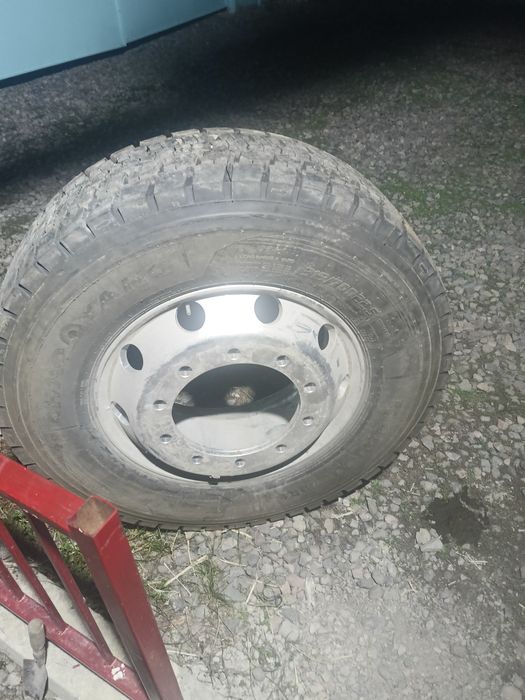 Шина с диском новый