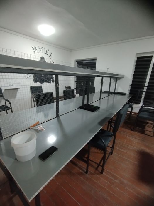 Stol sutullar holati yangi