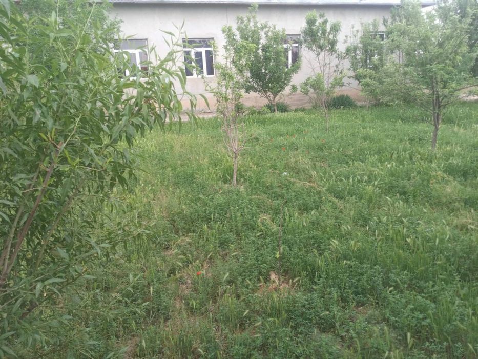 Ховли сотилади. Срочно