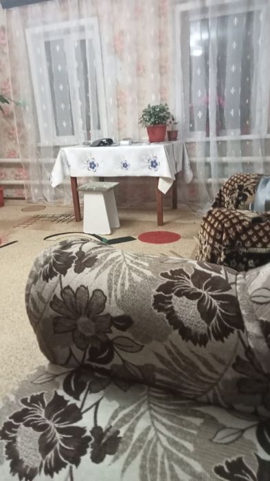 Продам дом село Нечаевка