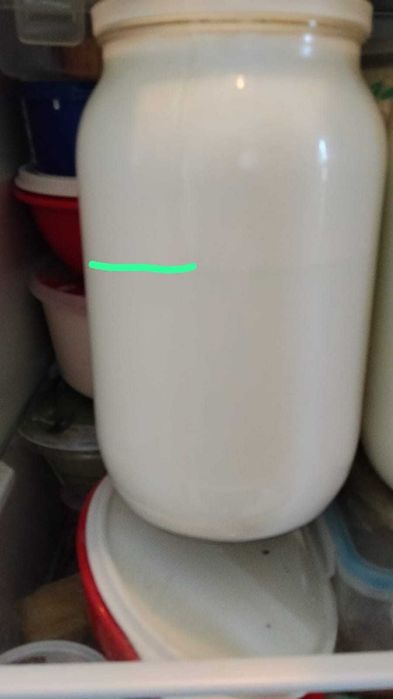 Vacã Jersy cu lapte gras,