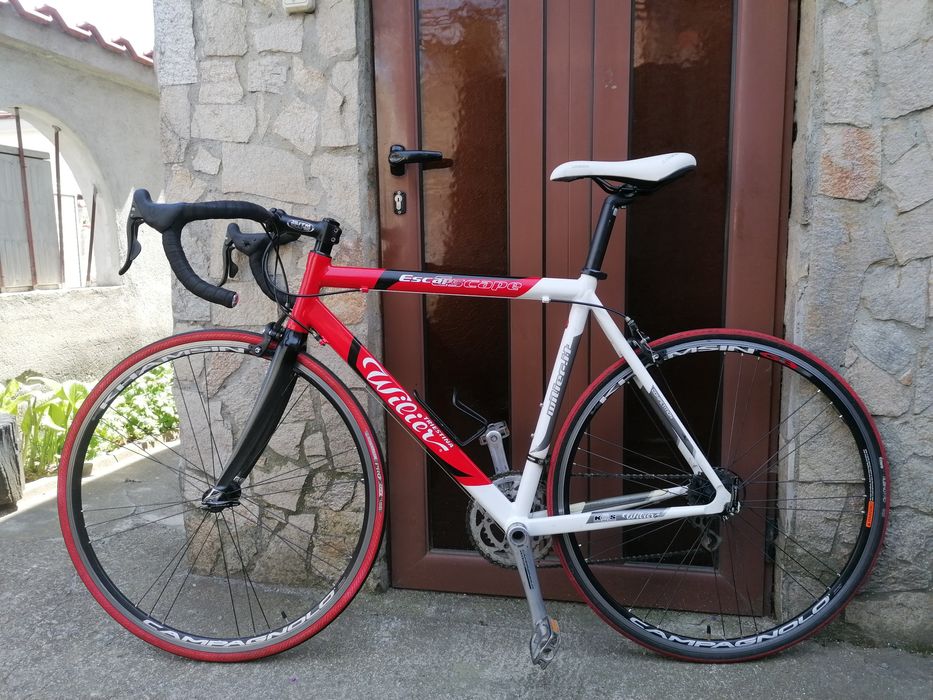 Шосеен WILIER  Full Campagnolo