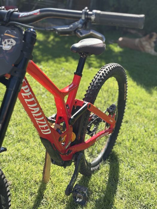 Specialized Demo Race