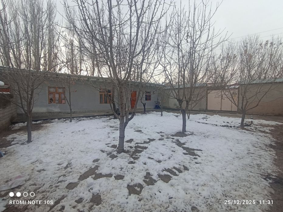 Keles Koʻk-terakda Aftadroʻm koʻchada