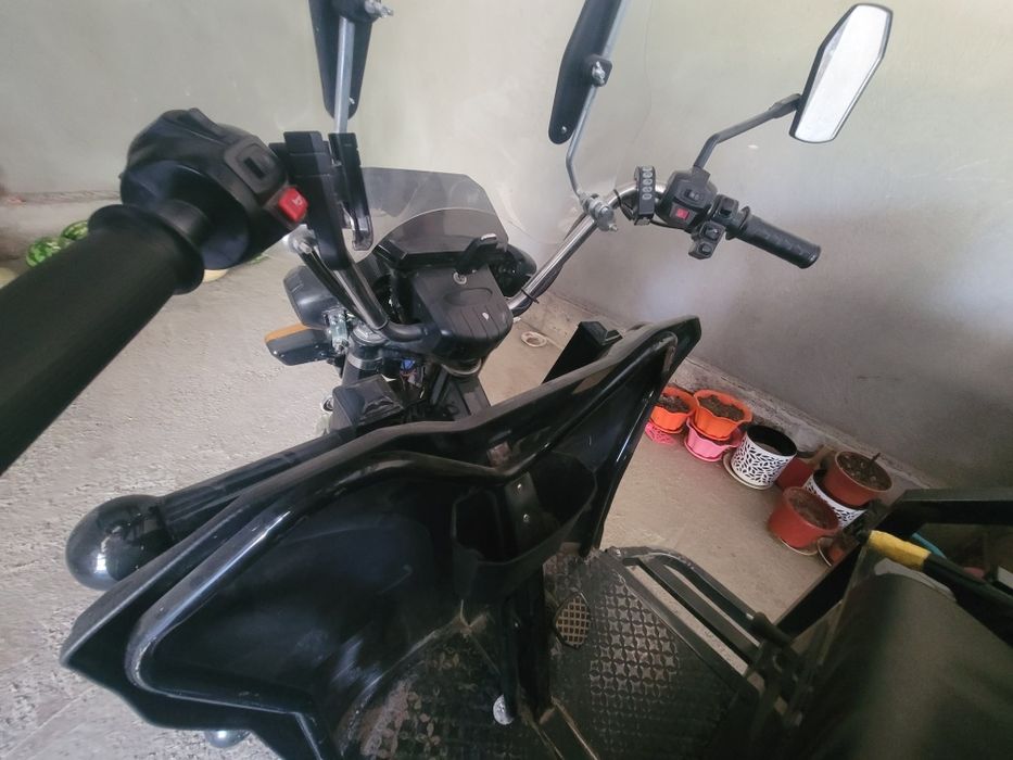 Bonvi muraveyi elektr