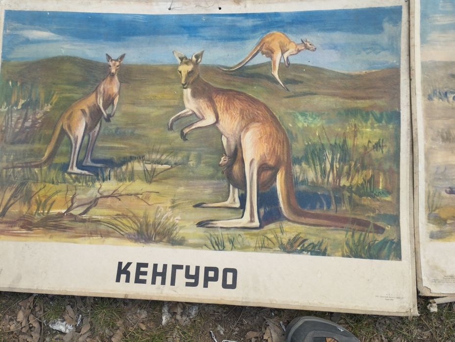 Стари учебни пана