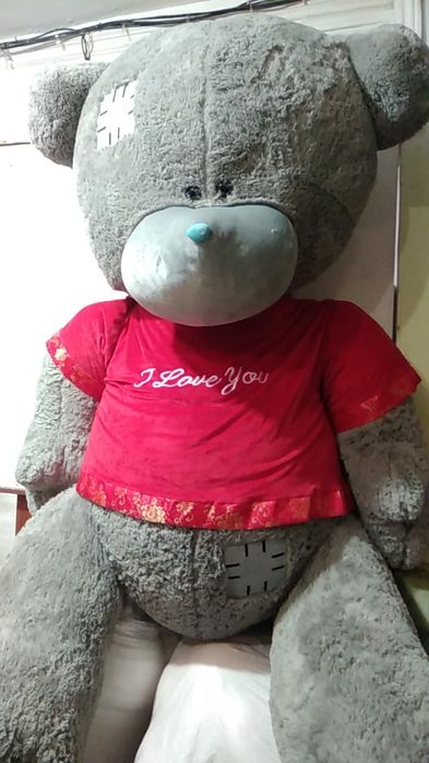 Teddy Teddi va Boshqa Xar Hil Yumshoq O'yinchoqlar