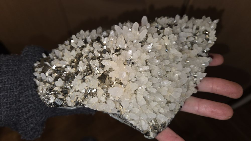 Floare de mina,Cavnic,Cuart laptos cu pirita.