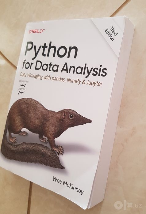 Python for Data Analysis kitob