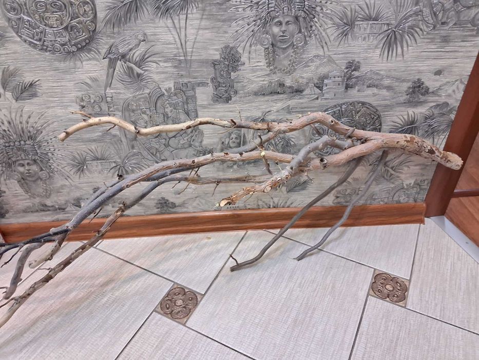 Коряга в аквариум