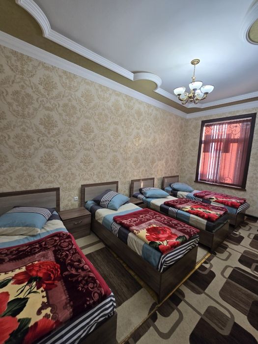 dacha AVANGARD__