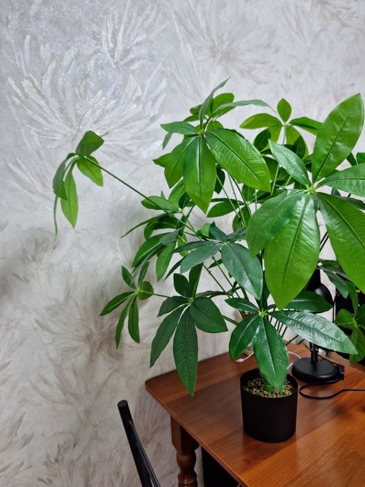 Растение искусственное