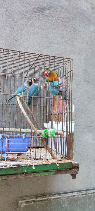 Продам маска  ,есть порованые