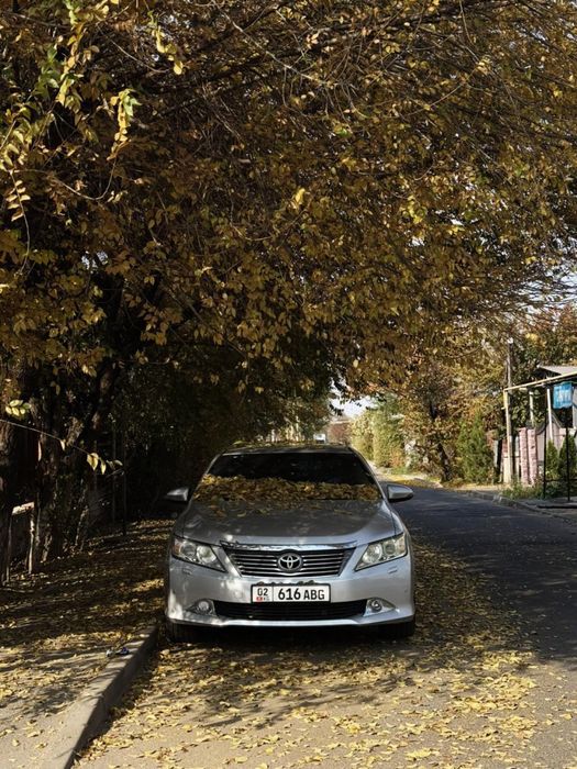 Трезвый водитель в Алматы 24/7