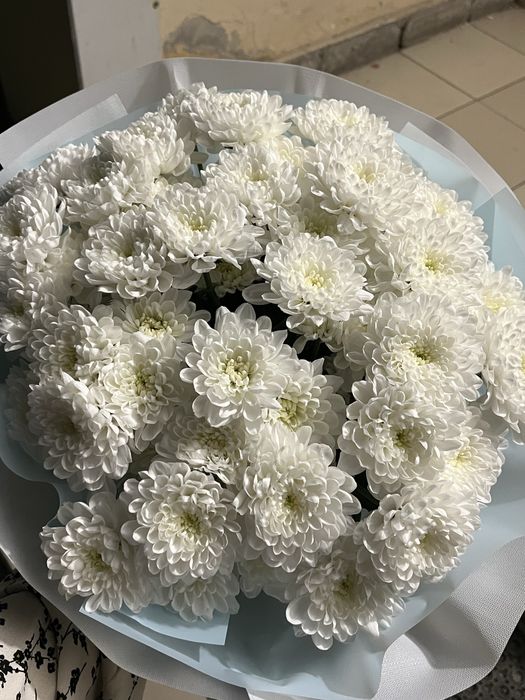 Ақ хризантема букеті | Әдемі гүл | Сыйлыққа