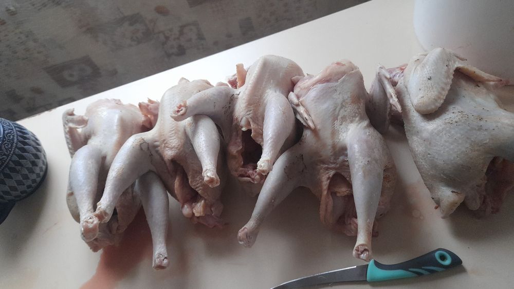 Куры бульонные домашние вкусные