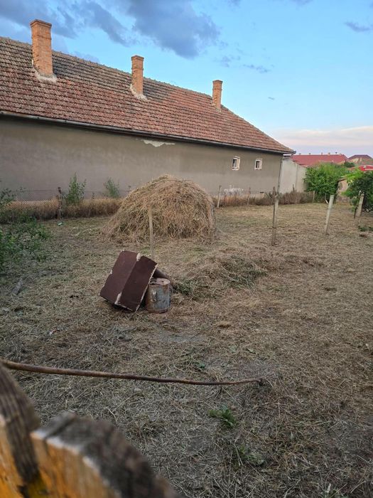 Casa de vanzare in Cenad