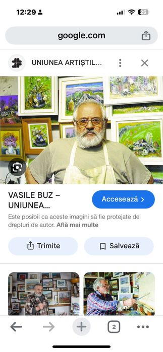 Tablou original Vasile Buzz